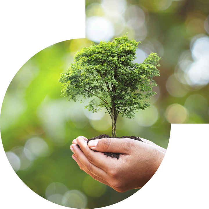 關懷人類、文化、環境與社會